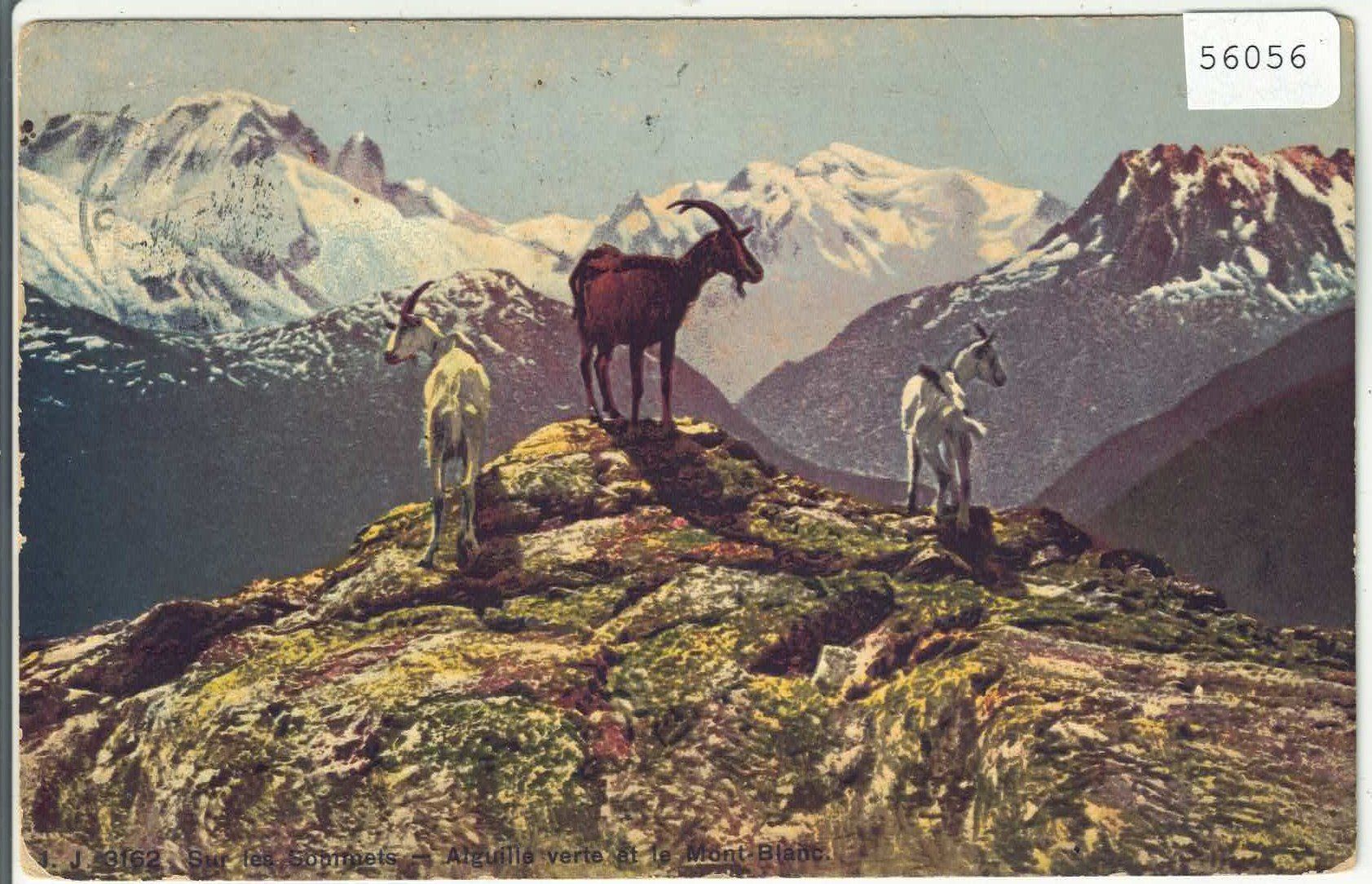 Ansichtskarten: Sur les sommets - Ziegen, chevres - Litho – Gebraucht aus Ettingen von Kartenplanet
