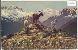 Sur les sommets - Ziegen, chevres - Litho