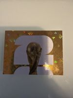 Fussball WM Pokal Sticker FWC1