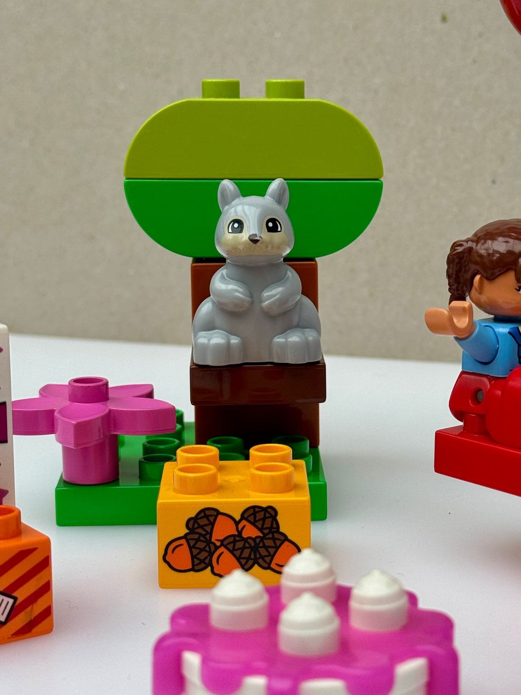 Lego Kit di costruzioni: LEGO Duplo Geburtstagspicknick – Usato da Frauenfeld venduto da ufu_7bdg 1