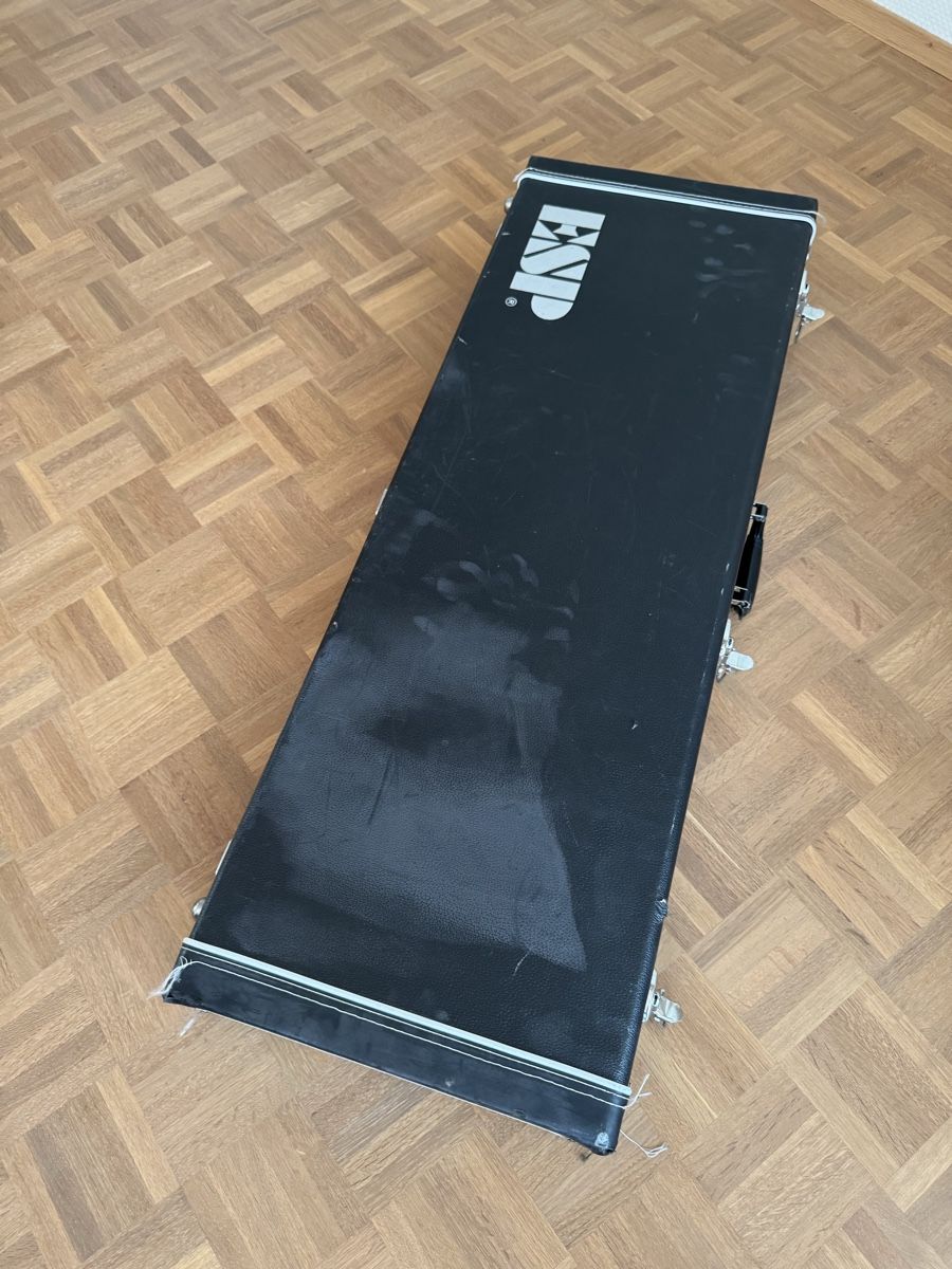 Esp Musikinstrumente: ESP LTD H-1007 – Gebraucht aus Lengnau AG von edu_6xjl 4
