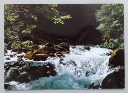 Vallorbe, Source de l' Orbe