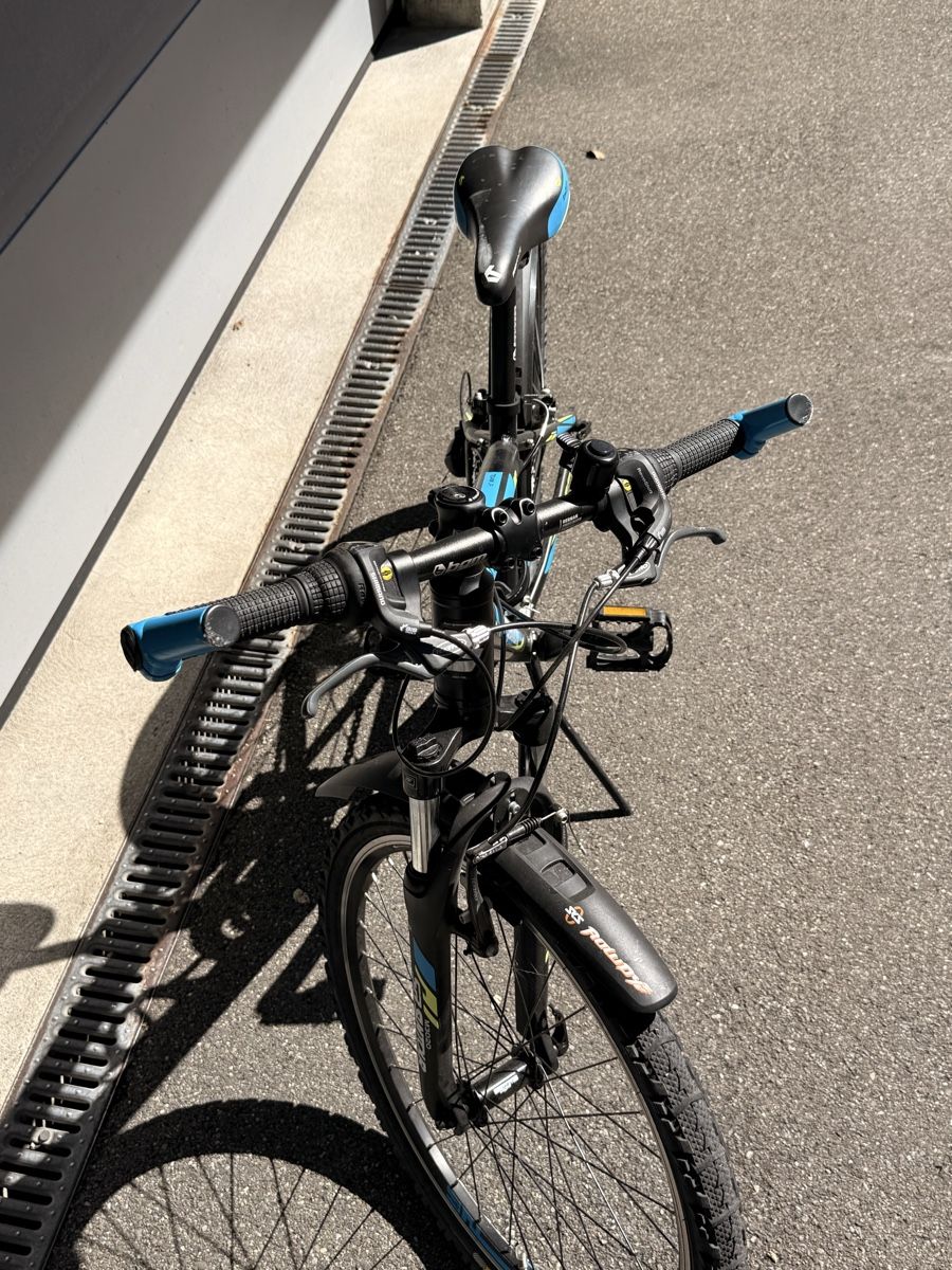 Bergamont Biciclette: Bergamont Mountain Bike – Usato da Erlenbach ZH venduto da Benio407 1