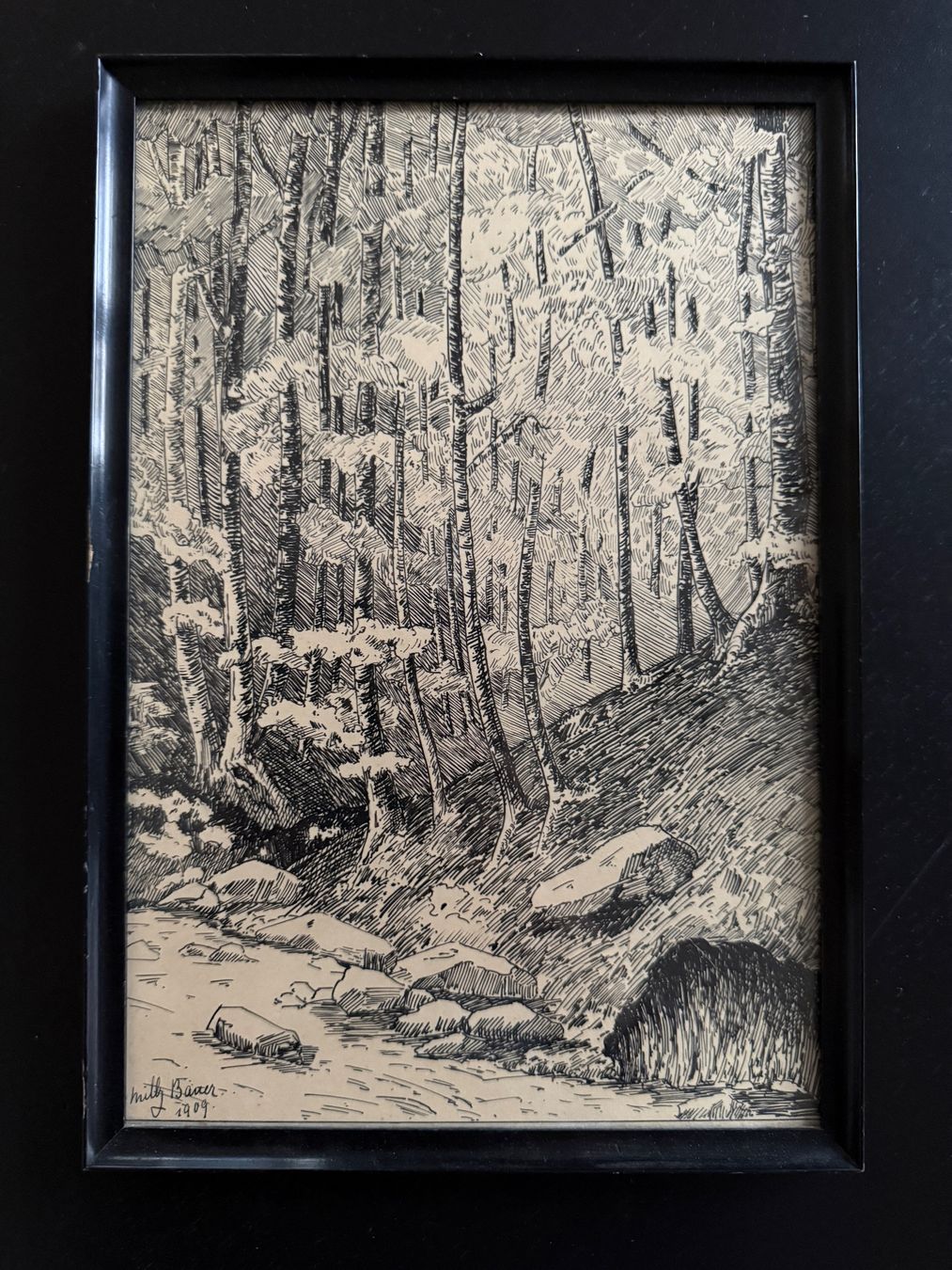 Foto & Immagini: Bleistiftzeichnung "Wald" von M. Bauer, 1909! – Usato da Erstfeld venduto da Mario_boe0
