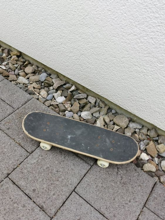 Skateboard Für Hunde – Komplett Montiert, Belastbar Bis 80 Kg, Für Kleine & Mittlere Hunde