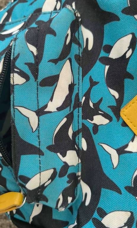 Borse & Zaini: Kinderrucksack – Usato da Kloten venduto da preshie 1
