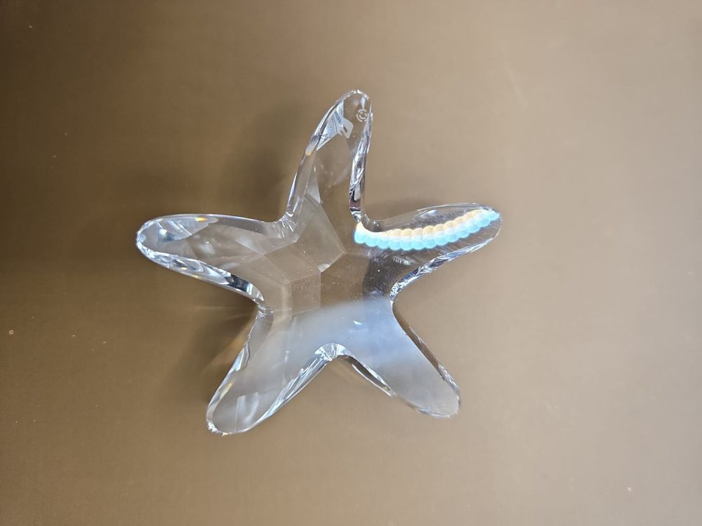 Papo Seestern-Figur „Das Universum Marin“ – Detailgetreue Meerestier-Figur Für Kinder Ab 3