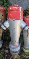 Robuster Hydrant, nostalgischer Charme für Ihren Garten!