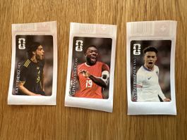 Panini Fifa World Cup 2026 Coca Cola Sticker 2026