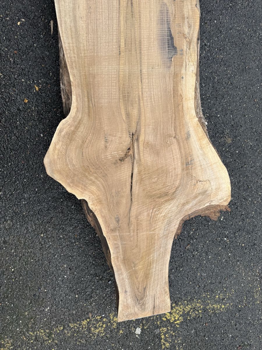 Articoli in legno: Nussbaum Klotzbrett 280  cm lang! – Usato da Gränichen venduto da onkel_xxl 2