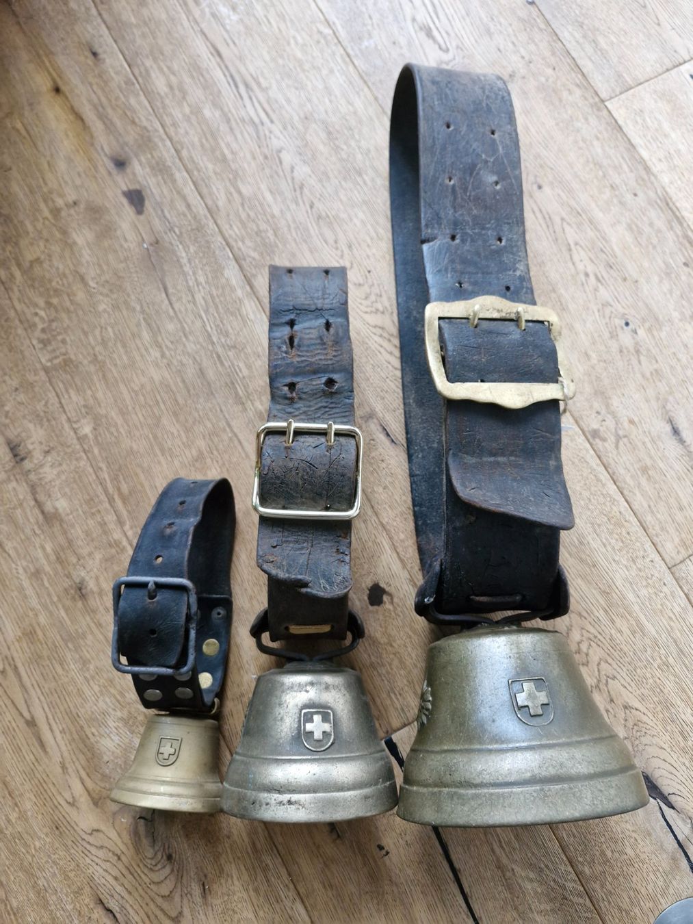 Campanacci mucche: Glocken Treicheln – Usato da Guarda venduto da rue_bpd7