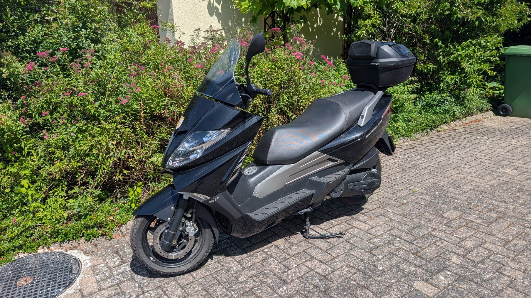 Tell Strada: Roller Tell Silverblade – Usato da Zuchwil venduto da UrsRicardo