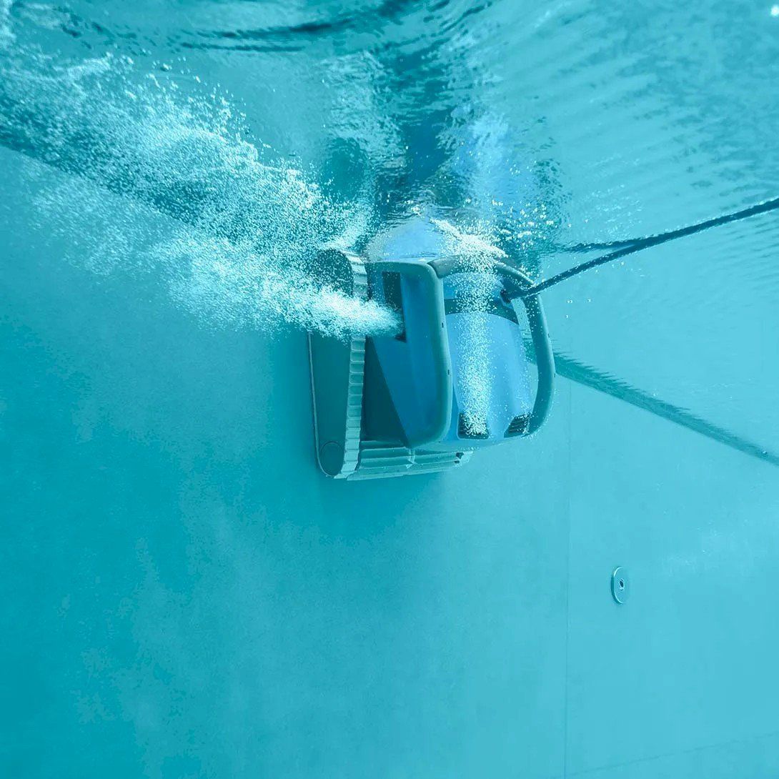 Dolphin Accessori per Piscine: Dolphin M600 Poolroboter – Nuovo e nell'imballaggio originale da Bottighofen venduto da zaap 4