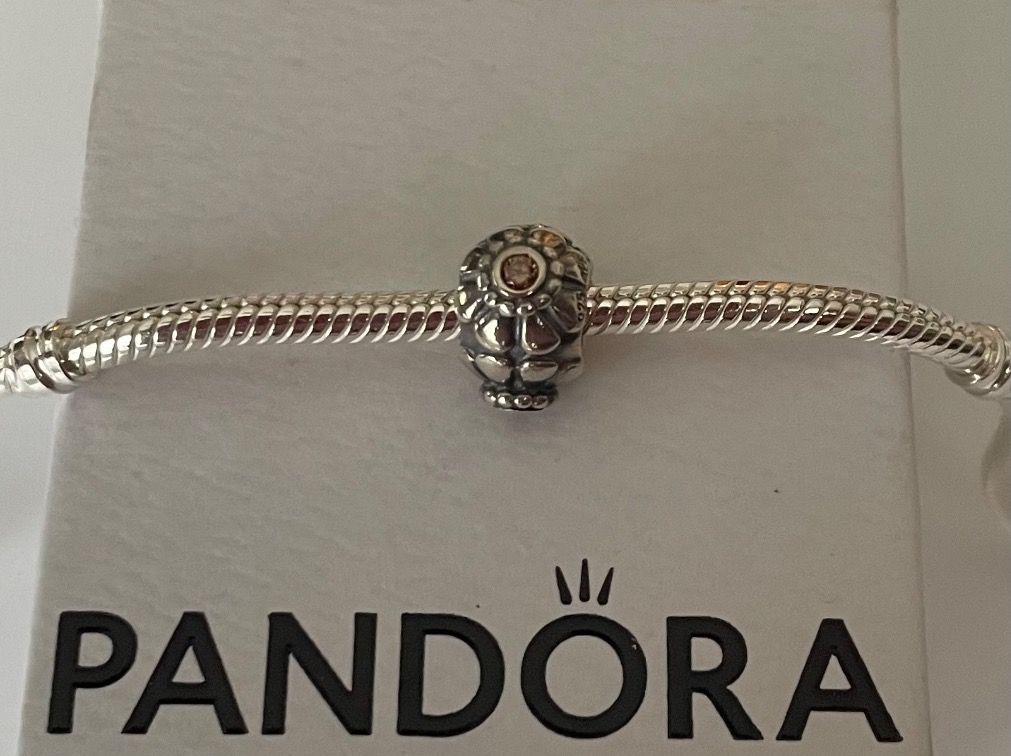 Pandora Ciondoli: Original Pandora Charm Bead – Nuovo e nell'imballaggio originale da Rüfenacht BE venduto da Milena_1 1