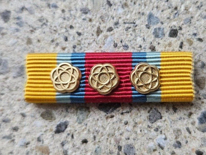 Ribbon Peace Support 3xGold inkl Box *** (Neu (gemäss Beschreibung)) in ...