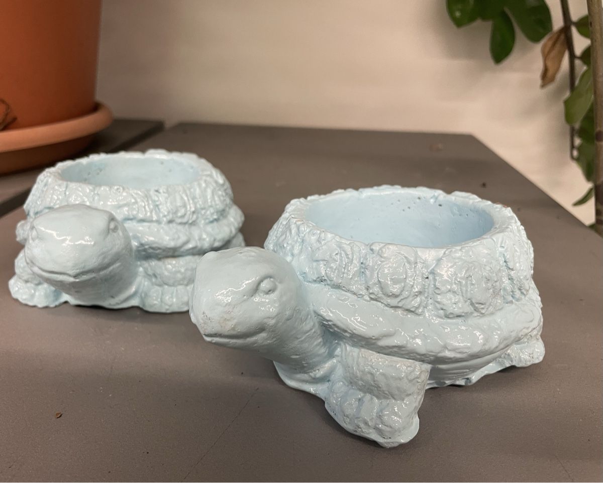 Blumentöpfe: 2 Süesse Schildkröten Blumentöpfe 🐢💙 – Neu und originalverpackt aus Au ZH von  3