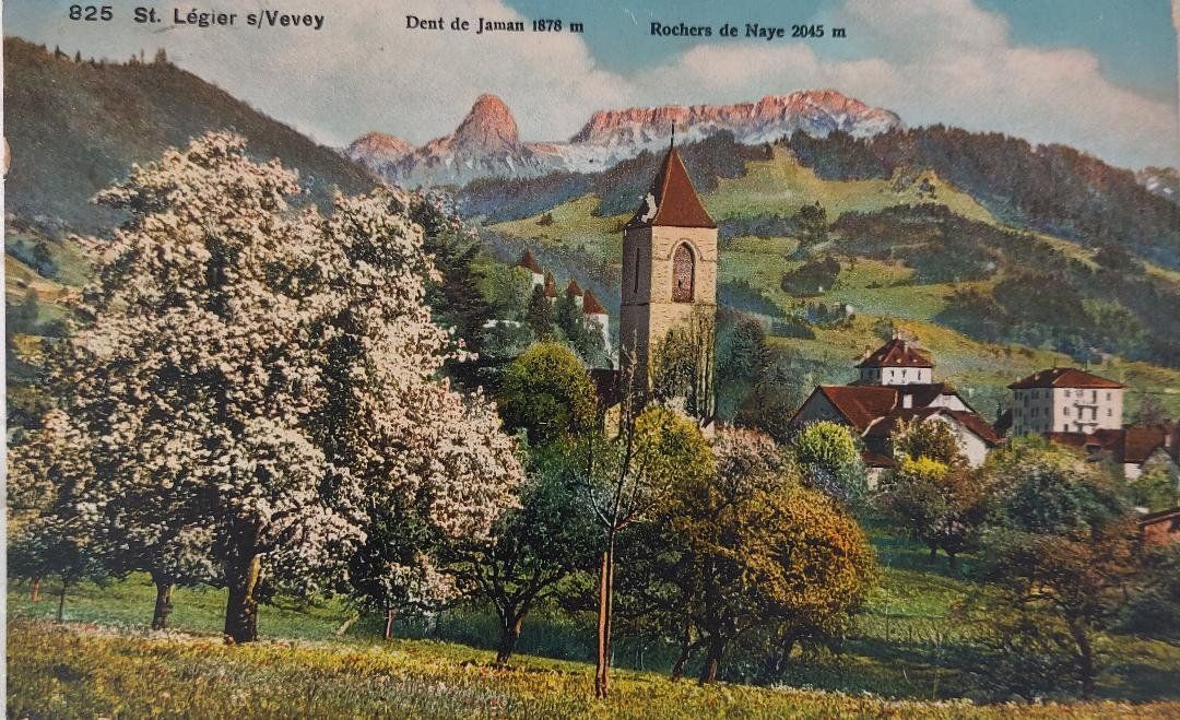 Cartoline postali: St. LÉGIER s/VEVEY -  1917 – Usato da Delémont venduto da Domdom1