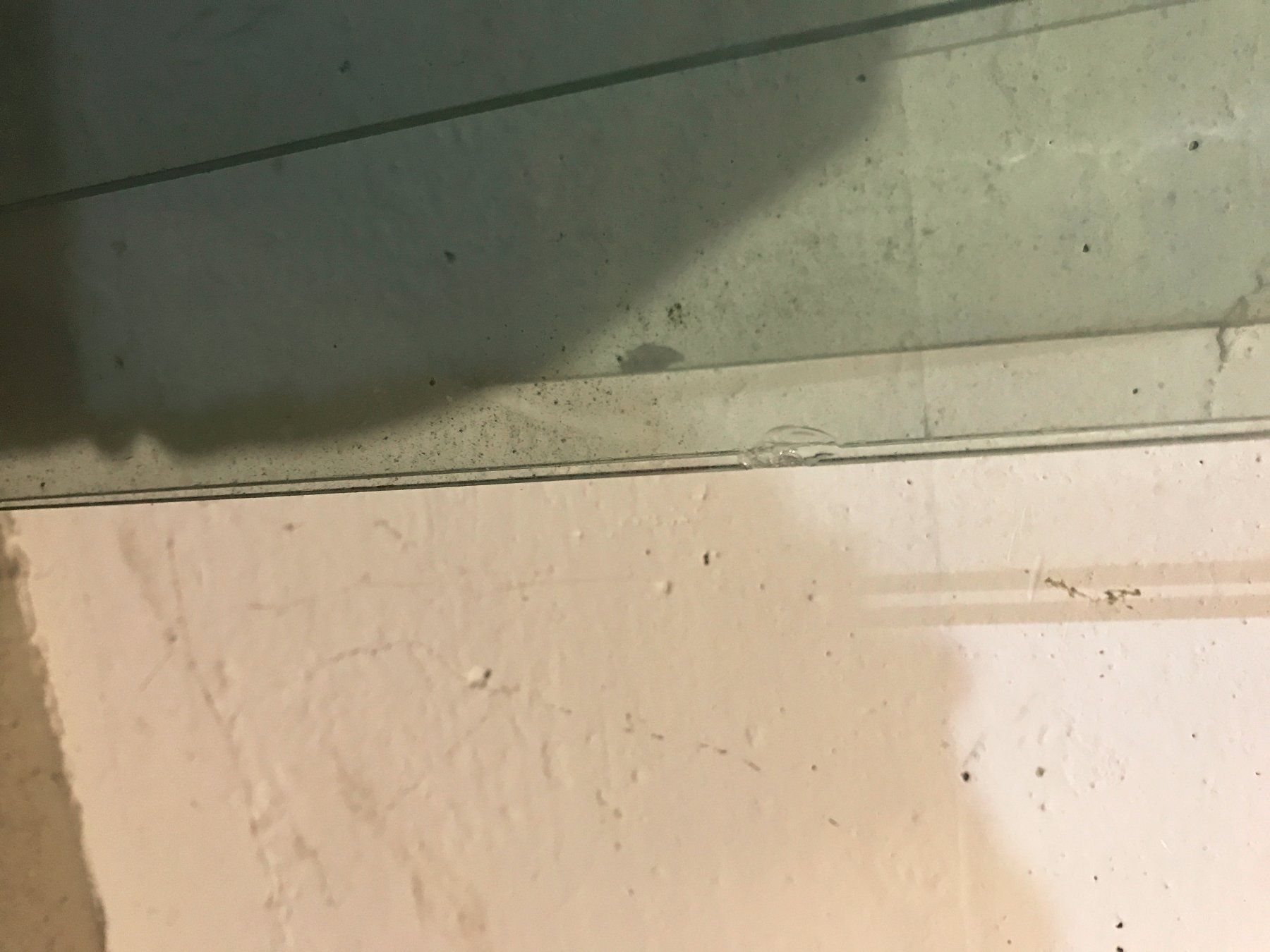 Piatti di portata: Glas Blatt, Blätter – Usato da Kreuzlingen venduto da JOWY72 1