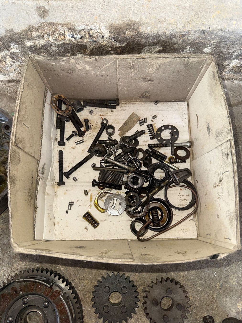 Sachs Motoren: Sachs 503 Handschalter Mofa Motorenteile – Defekt aus Fahrni b. Thun von berger_tuning34 4