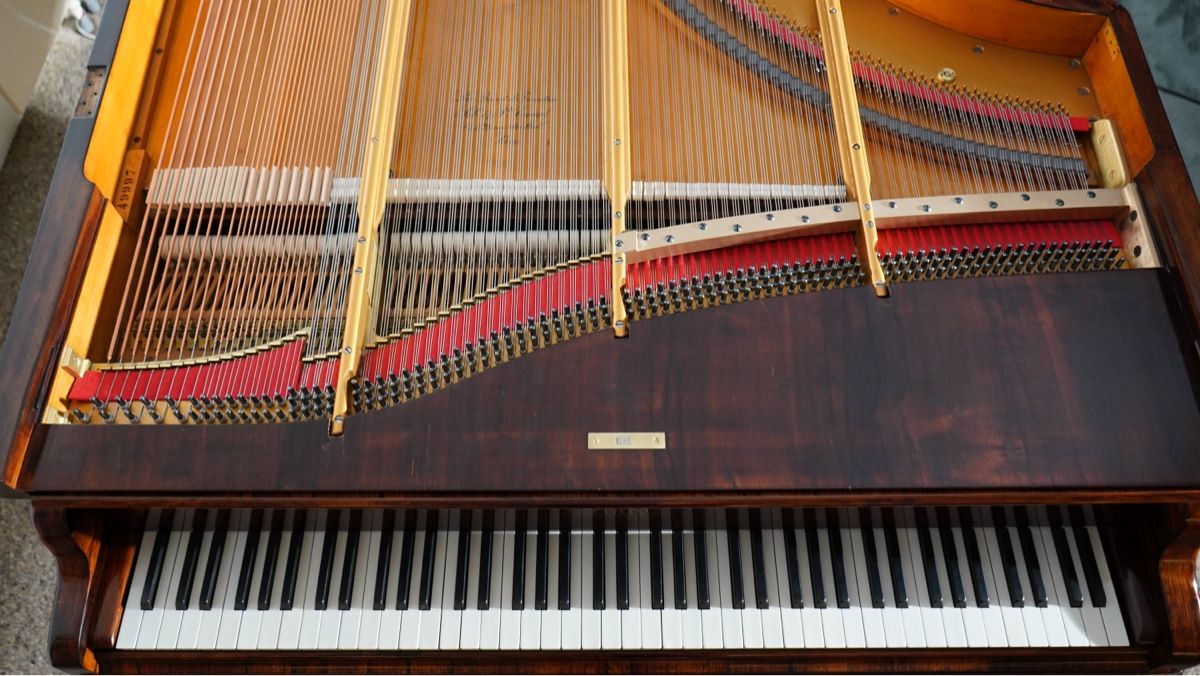Musikinstrumente: Rare Erard 1876, 2m45 – Gebraucht aus Zürich von horoffra