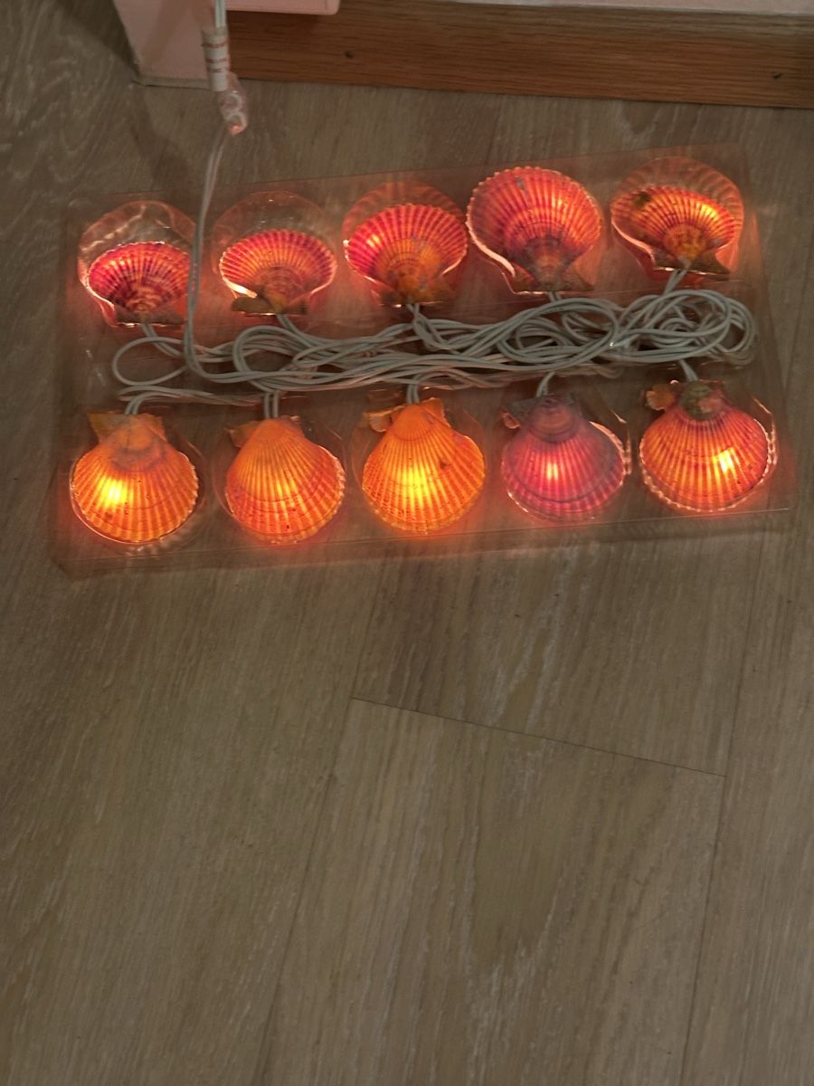 Ghirlande e barre luminose: Lichterkette mit Grosse Muscheln Neu – Nuovo e nell'imballaggio originale da Basel venduto da Ivana_4