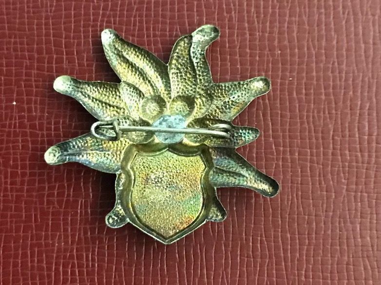 Plaquettes & Badges: Edelweiss Europabrücke – D'occasion à Itingen par Bebbi6569 1