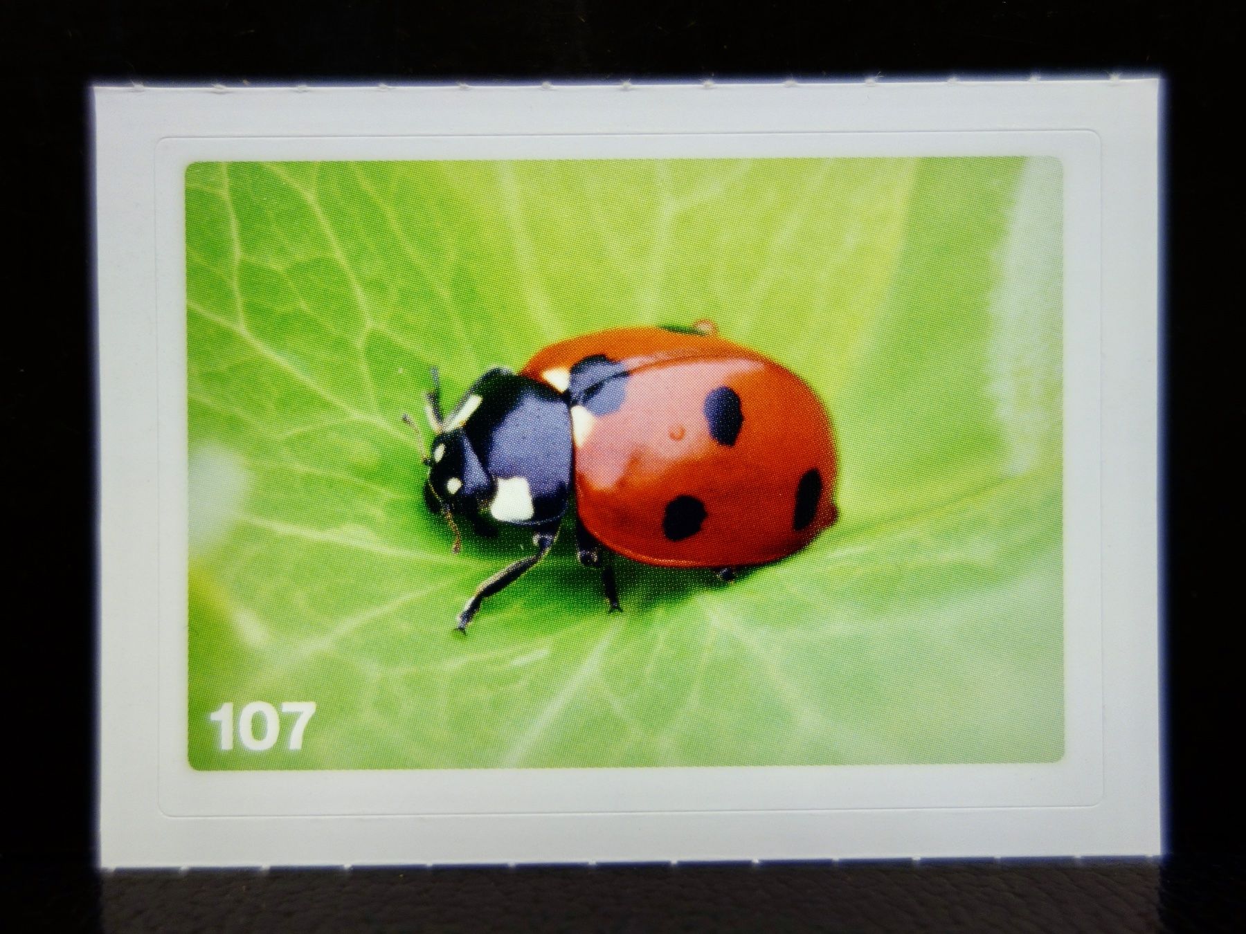 Migros Sammelbilder & Trading cards: MIGROS MANIA Nature Detectives Nr. 107 – Neu und originalverpackt aus Kerzers von djstarsky73