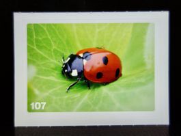 MIGROS MANIA Nature Detectives Nr. 107