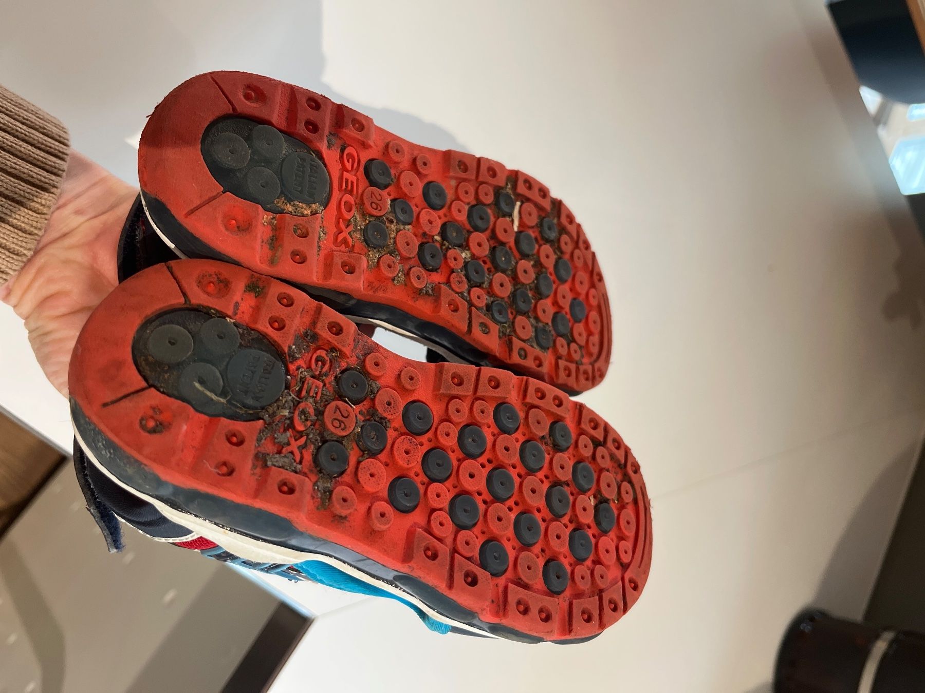 Geox Scarpe per ragazzi: GEOX Sandalen Gr. 26 Jungen – Usato da Pratteln venduto da Daily88 4