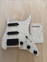 Pickguards completo
