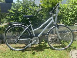 Damen Citybike