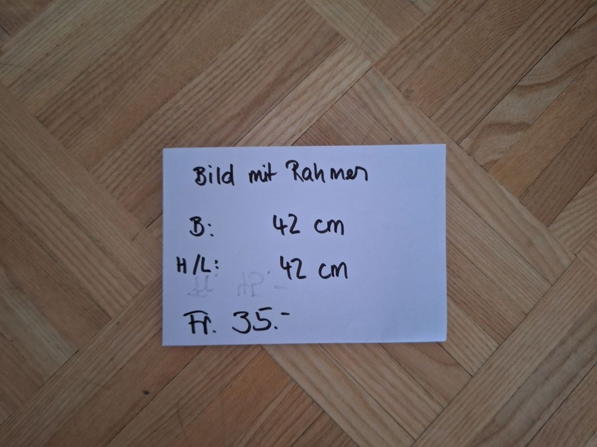 Poster & Bilder: Bild mit Rahmen, 42x42cm, Alu Wechselrahmen – Gebraucht aus Zürich von Iambarbara 1