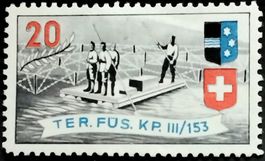 Ter Füsilier Kompanie III/153, 2.WK, Wi Ter 269
