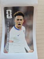 Antonee Robinson USA Panini Coca-Cola Sammelbild Top Zustand