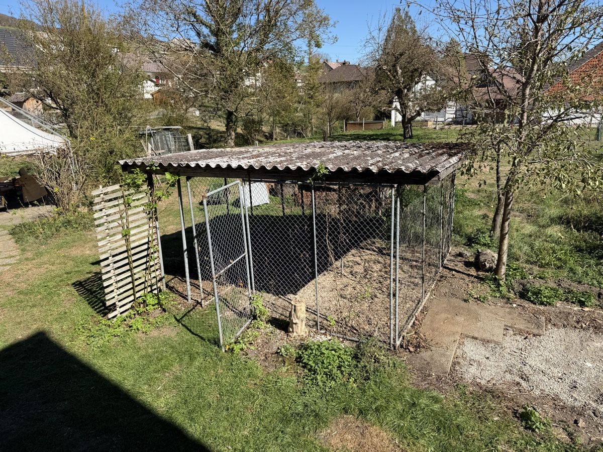 Käfige, Transport & Sicherheit: Zwinger – Gebraucht aus Herbetswil von Chi_Ste97 3