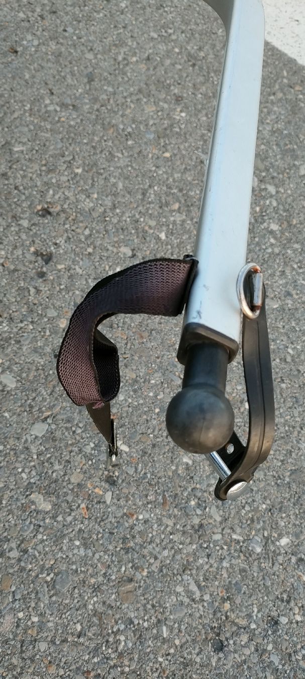 Thule Anhänger: Thule chariot lite 2 places – Gebraucht aus Riaz von Tobydesmonts 7