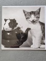 LOT 13 cartes de voeux papeterie moderne ANIMAUX