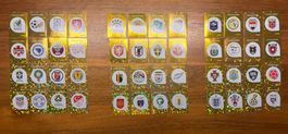 🔥 ⚽️ PANINI WM 2026 WAPPEN STICKER HOLO GLITZER RAR ⚽️ 🔥