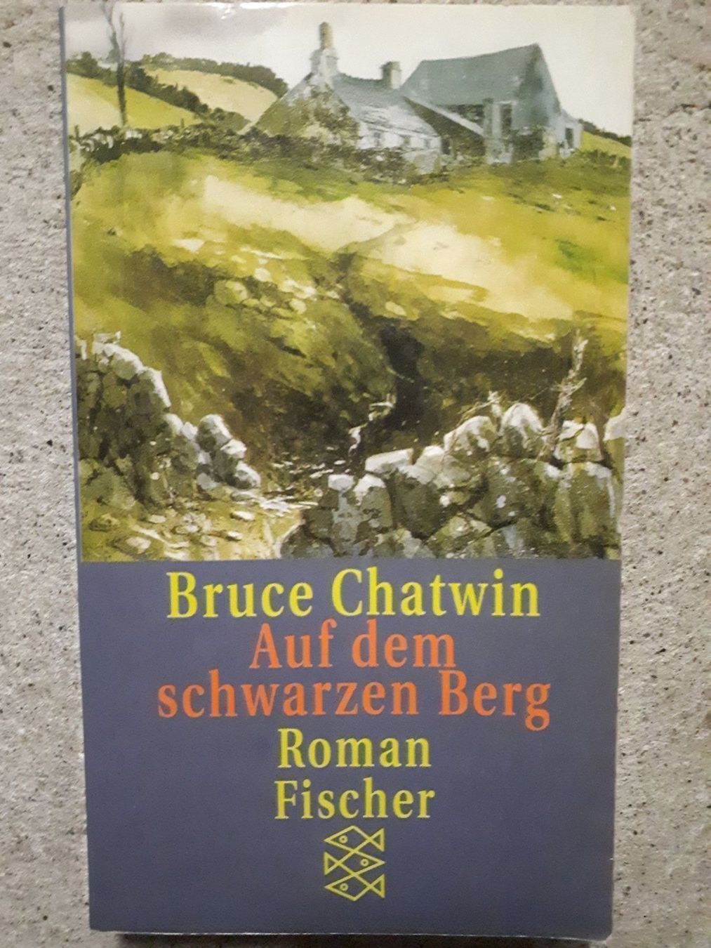 Libri: Bruce Chatwin Auf dem schwarzen Berg – Usato da Basel venduto da Alacant