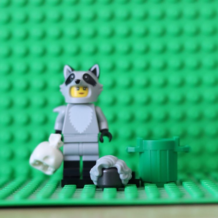 LEGO, Minifgures, Series 22 - Raccoon Costume Fan | Kaufen auf Ricardo
