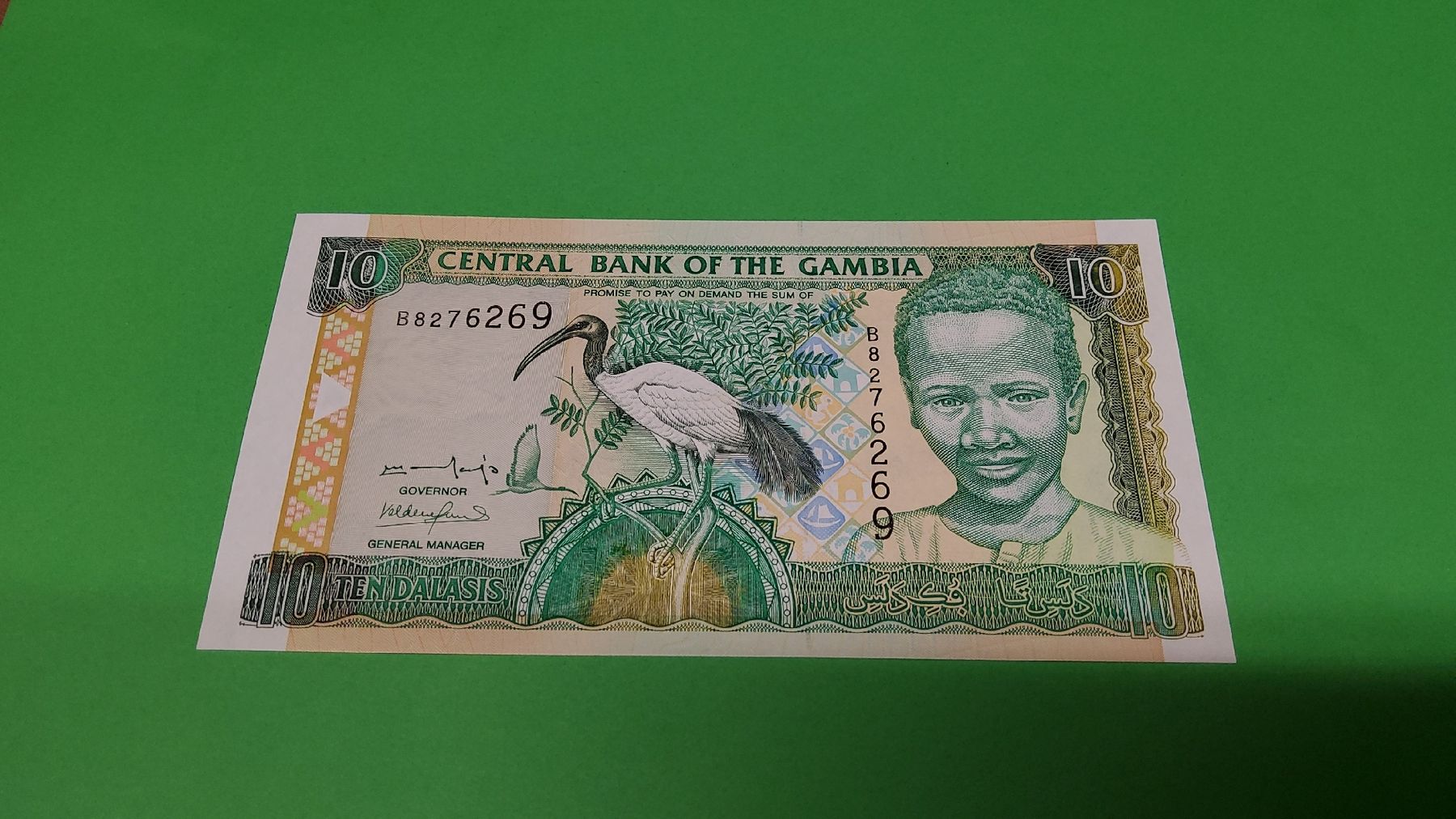 Banconote: Gambia 10 Dalasis Banknote, Top , Selten! – Nuovo e nell'imballaggio originale da Herisau venduto da Nluanalucas
