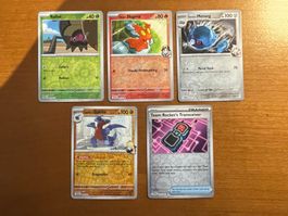 Pokemon Reverse Karten Set (Versand gratis)
