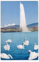 Genève - le Jet d'Eau (90m) et le Mont Blanc