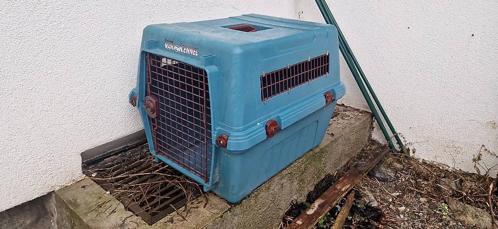 Gabbie, trasporto & Sicurezza: Cage box chien vari kennel – Usato da Aven venduto da man_yl9j 1