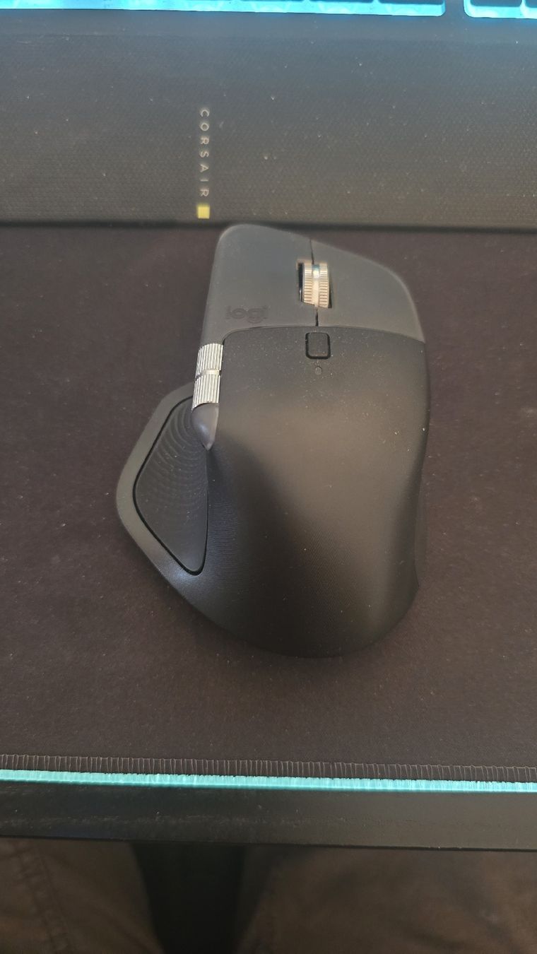 Logitech Maus: Logitech MX Master 4 for Mac – Gebraucht aus Goldau von KB358