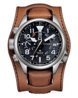 Citizen promaster eco drive altichron RAR Neu Japan