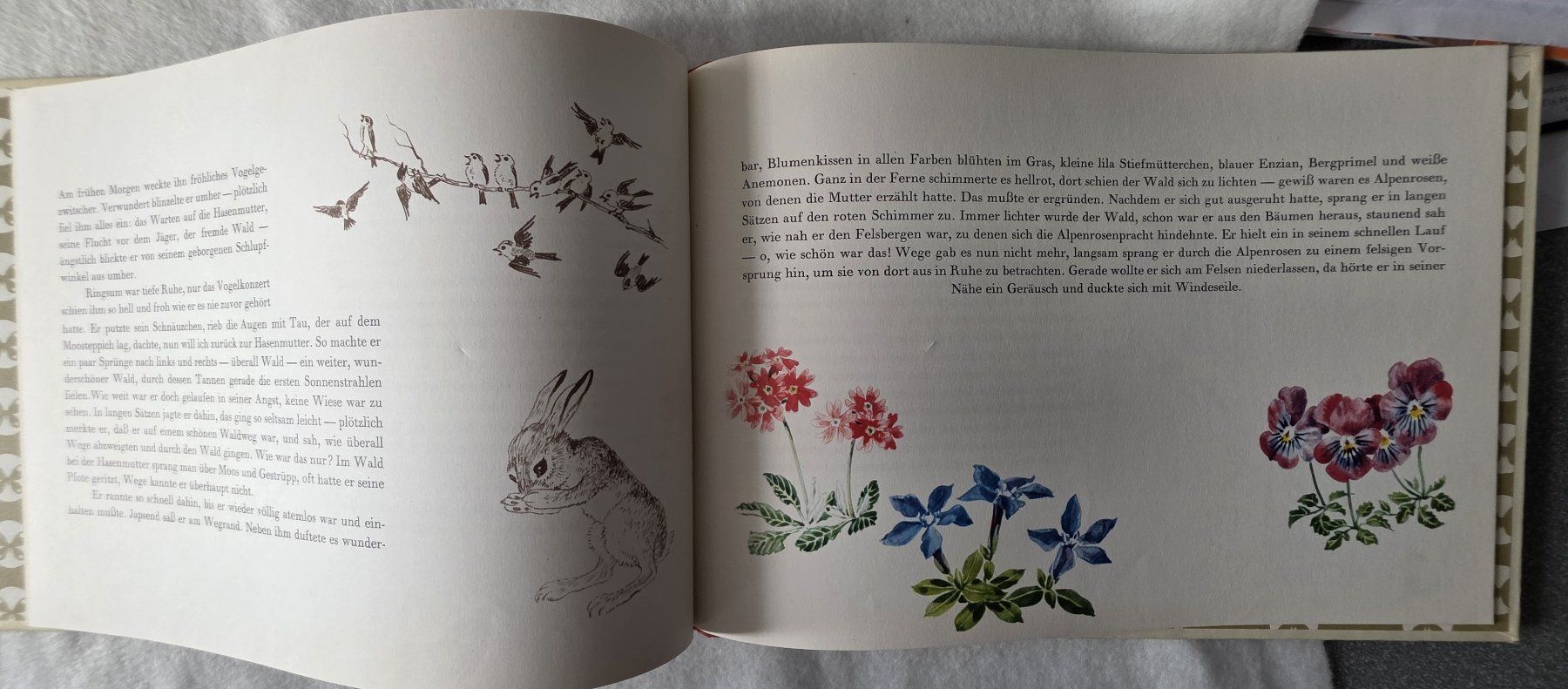 Bücher: Antikes Kinderbuch "Purzel, eine Hasengeschichte" top! – Gebraucht aus Oetwil am See von fineli2 1