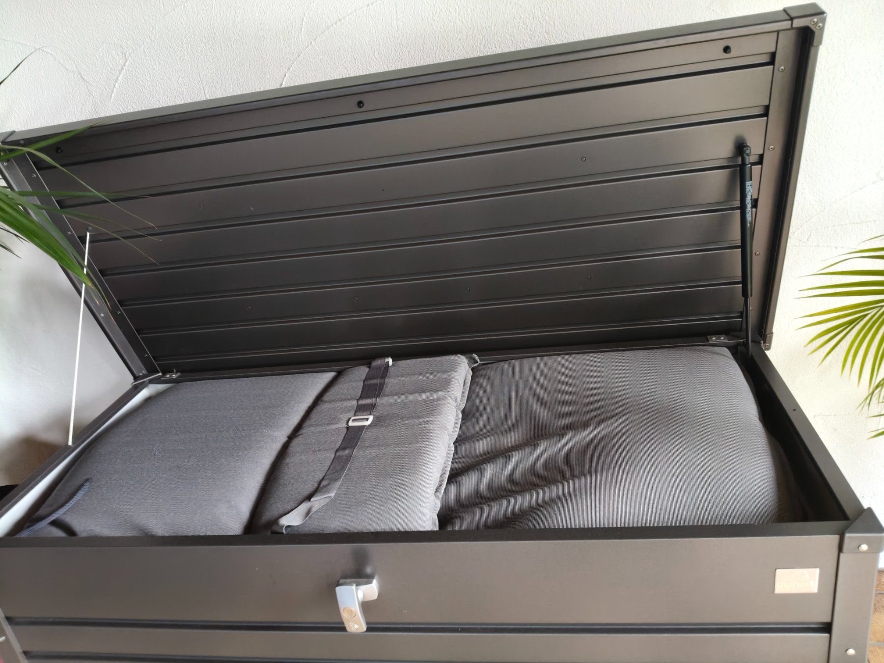 Biohort Box contenitori: Biohort Aufbewahrungsbox – Usato da Berg TG venduto da hoferp 3