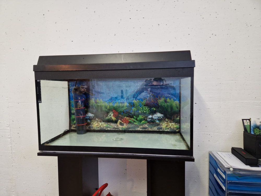 120l Aquarium inkl zubehör und Möbel Kaufen auf Ricardo