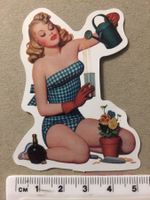 Pin up Pinup Girl Aufkleber Sticker Nr 23